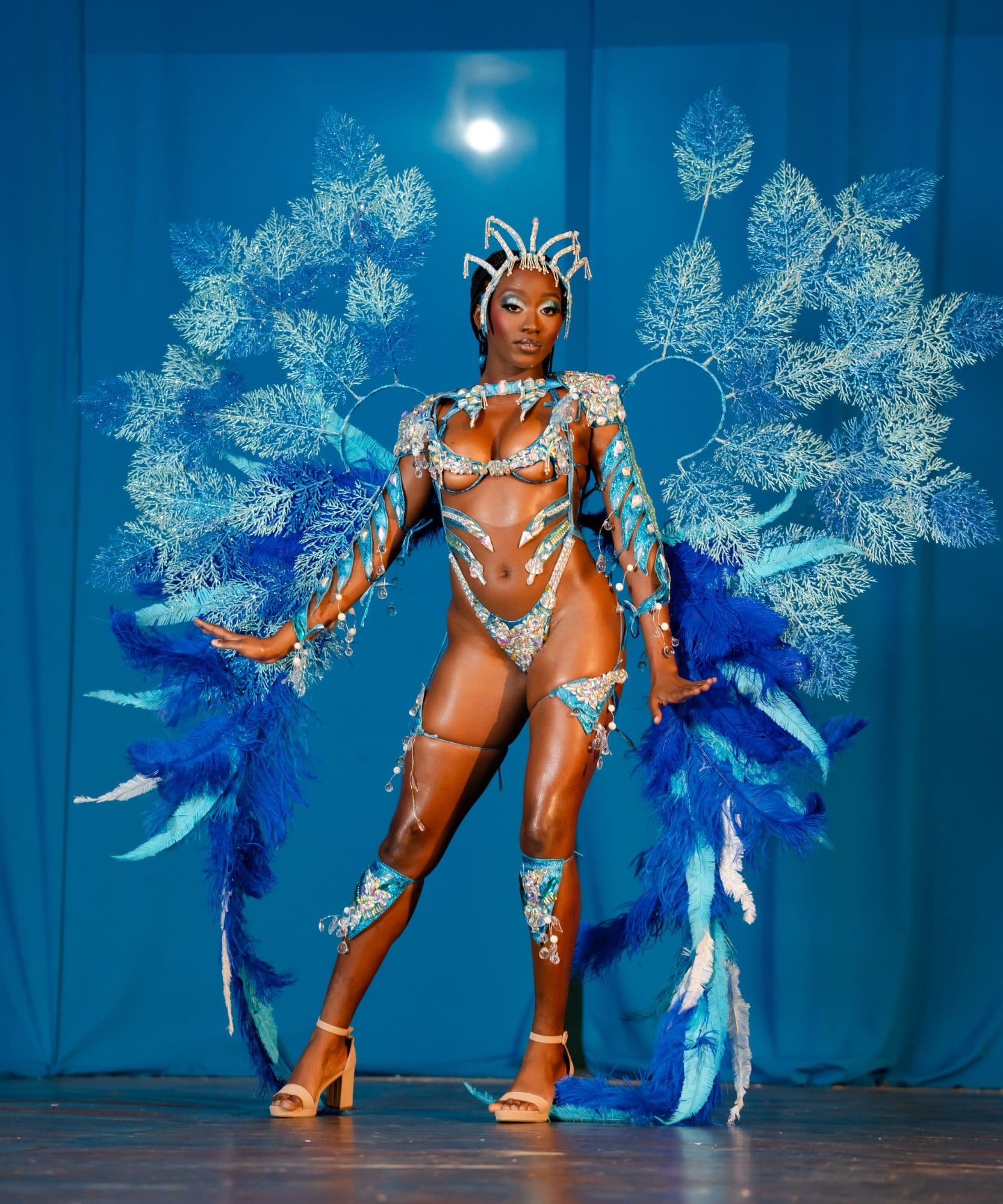 Package image